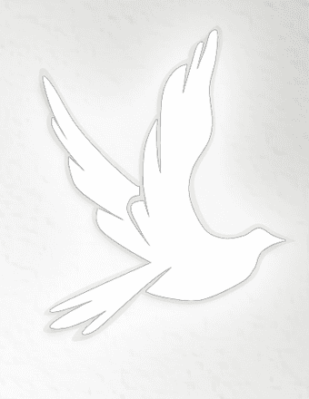 Trent Haydin Clarke Obituary